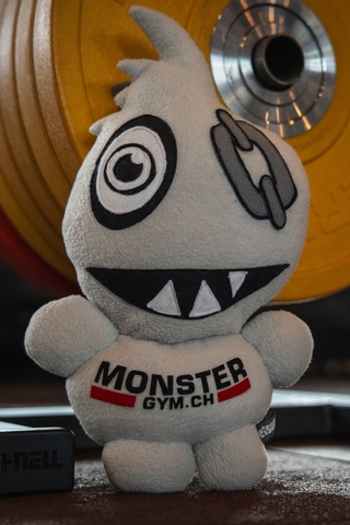 Plüsch Maskottchen steht vor der Hantelscheibe.