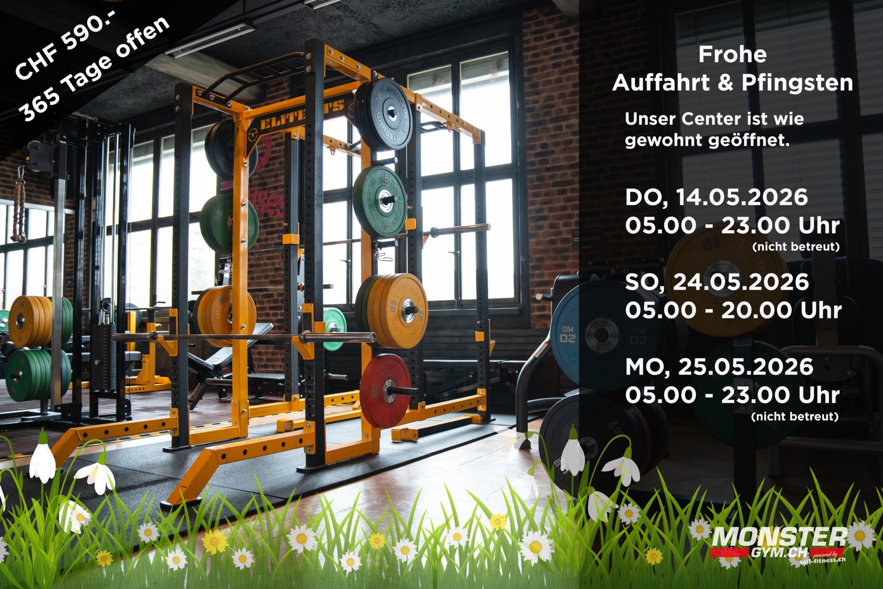 monster-gym.ch - WÄHREND 365 TAGEN GEÖFFNET