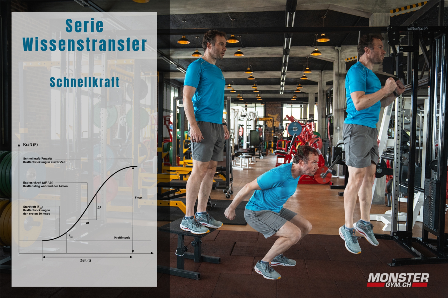 WISSENSTRANSFER - SCHNELLKRAFTTRAINING