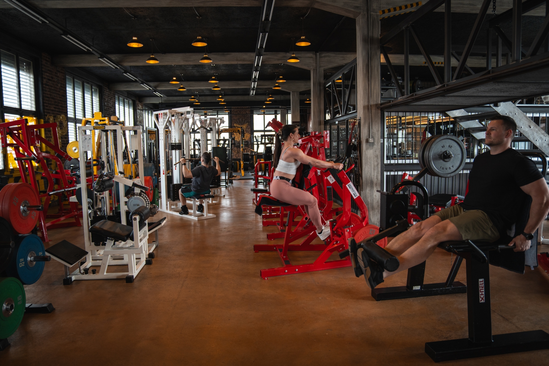 self-fitness.ch Kunden trainieren im monster-gym.ch